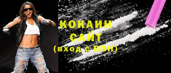 индика Костерёво