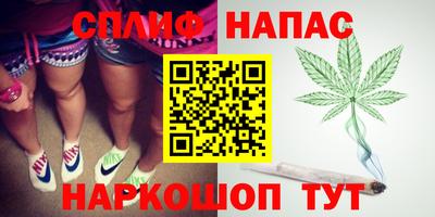 гашик Кандалакша