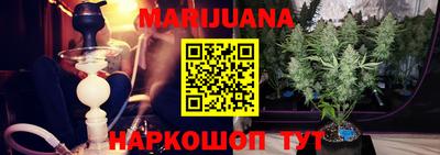 гашик Кандалакша