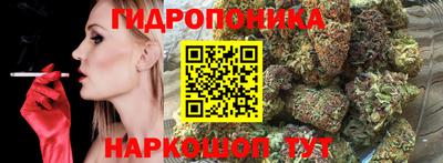 гашик Кандалакша
