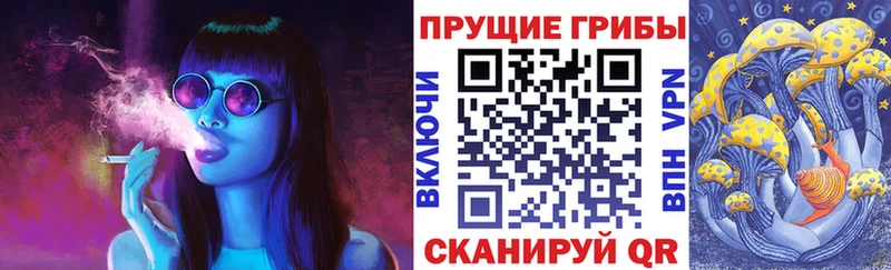 закладки  Котлас  Галлюциногенные грибы Cubensis 
