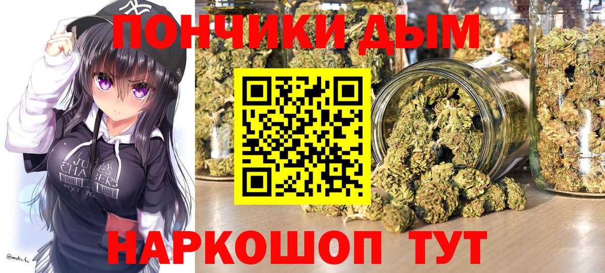 Конопля сатива Котлас